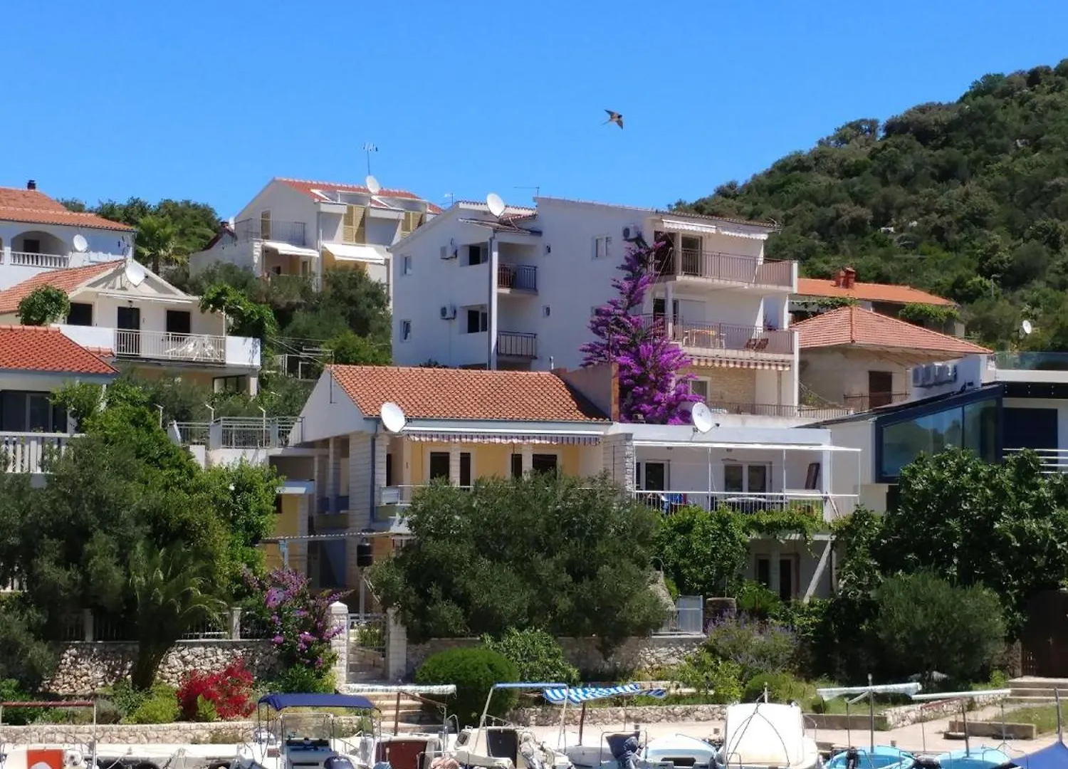 Astramaris Apartments Donji Okrug
